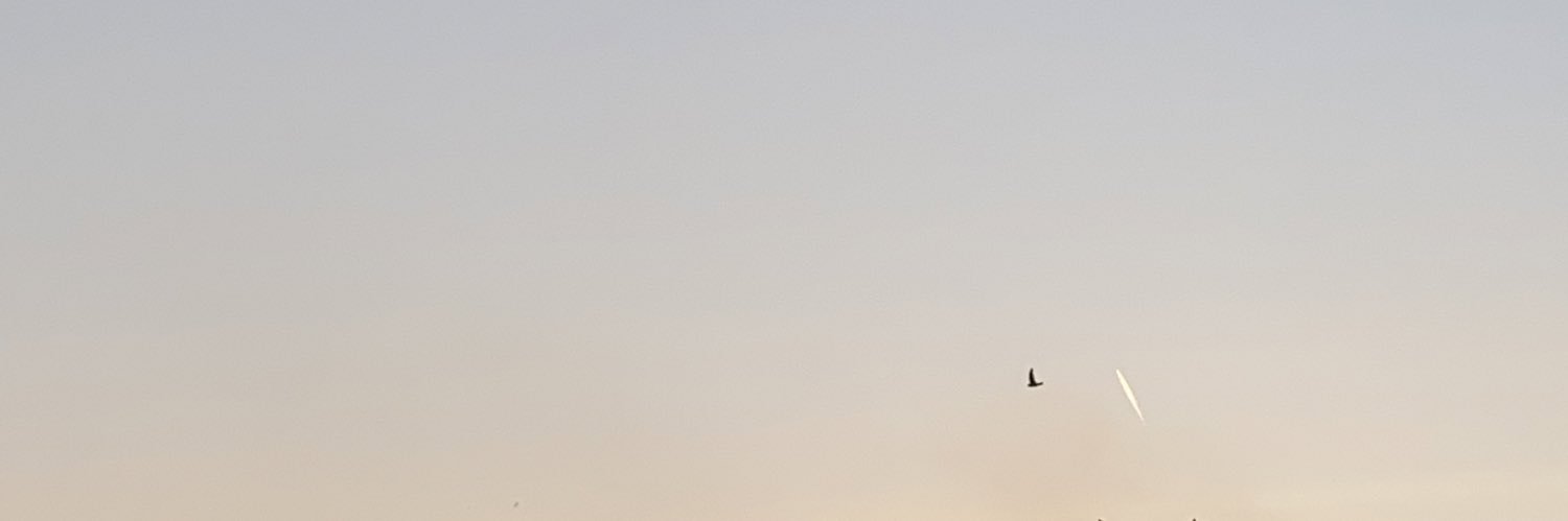✮ banner