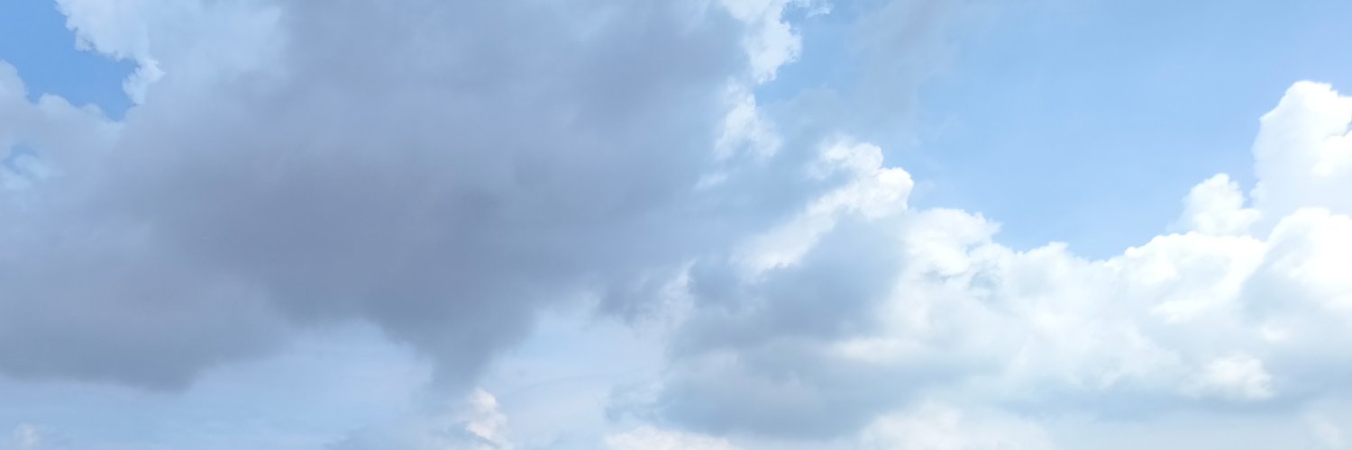 pmp banner