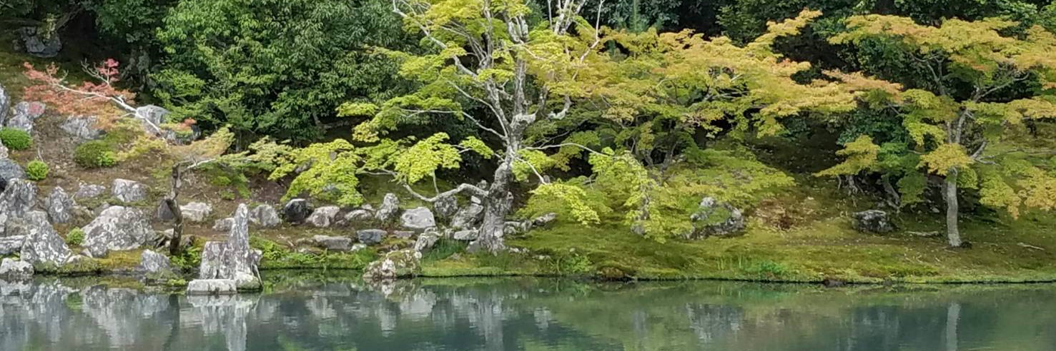 ますおか's banner