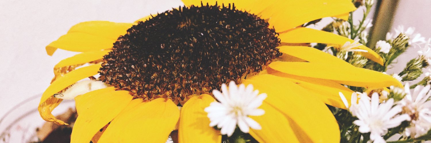 nktmee's profile banner image