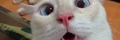 mifvmy's profile banner image