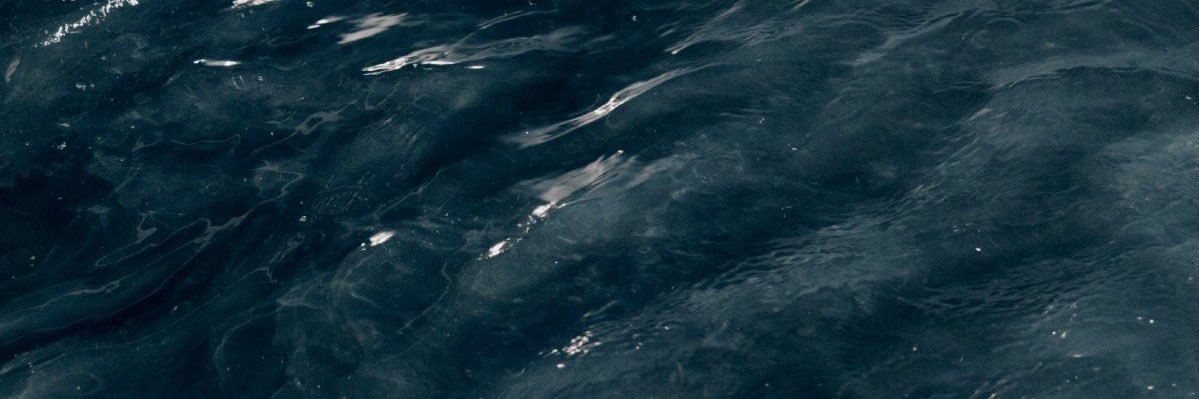 쌀알 banner