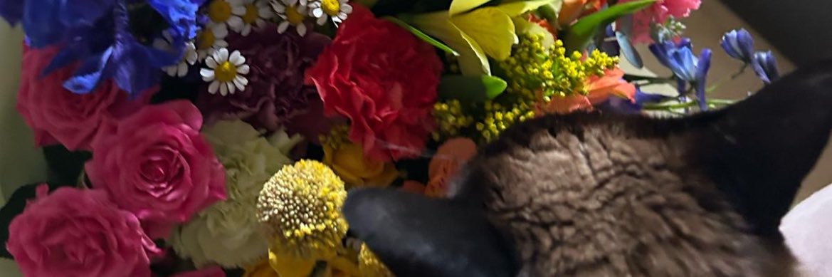 ManoloDCN's profile banner image