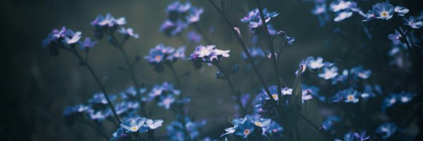 _MelindaSuto_ Profile Banner