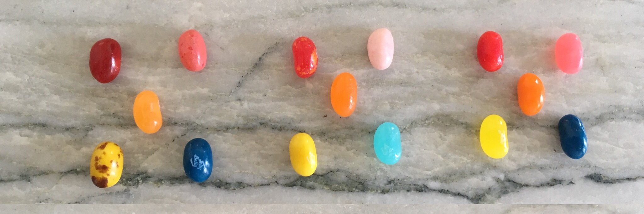 kristin welch banner