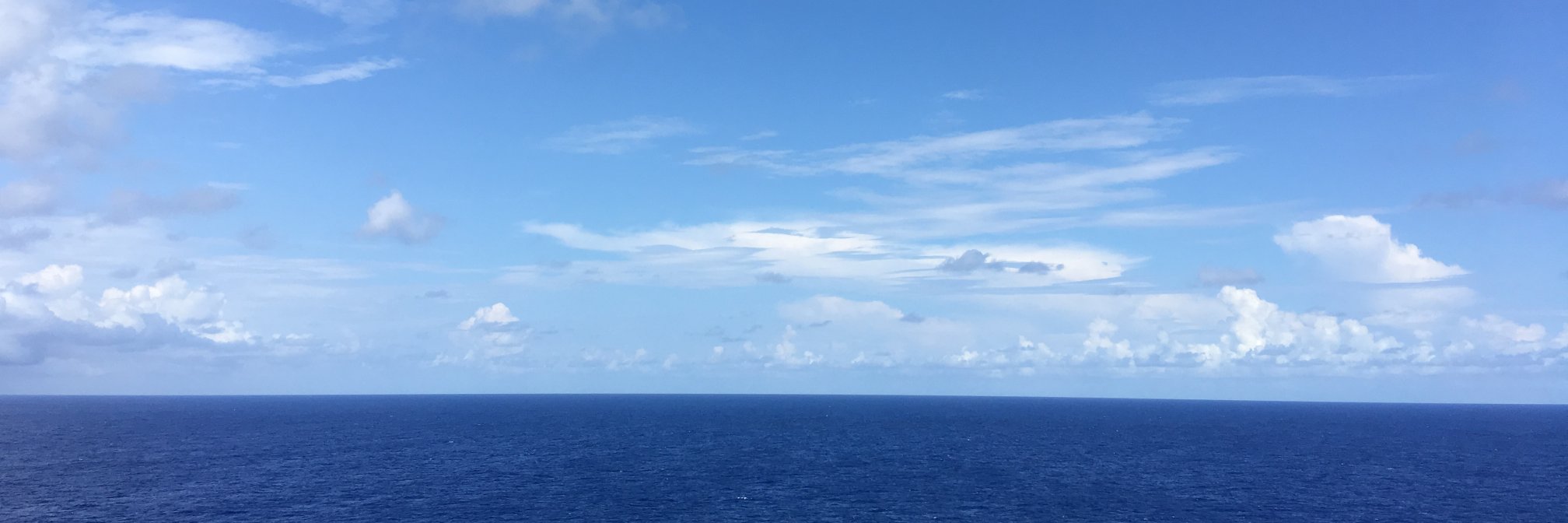 memphislis's profile banner image