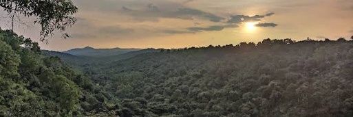 justfebin's profile banner image