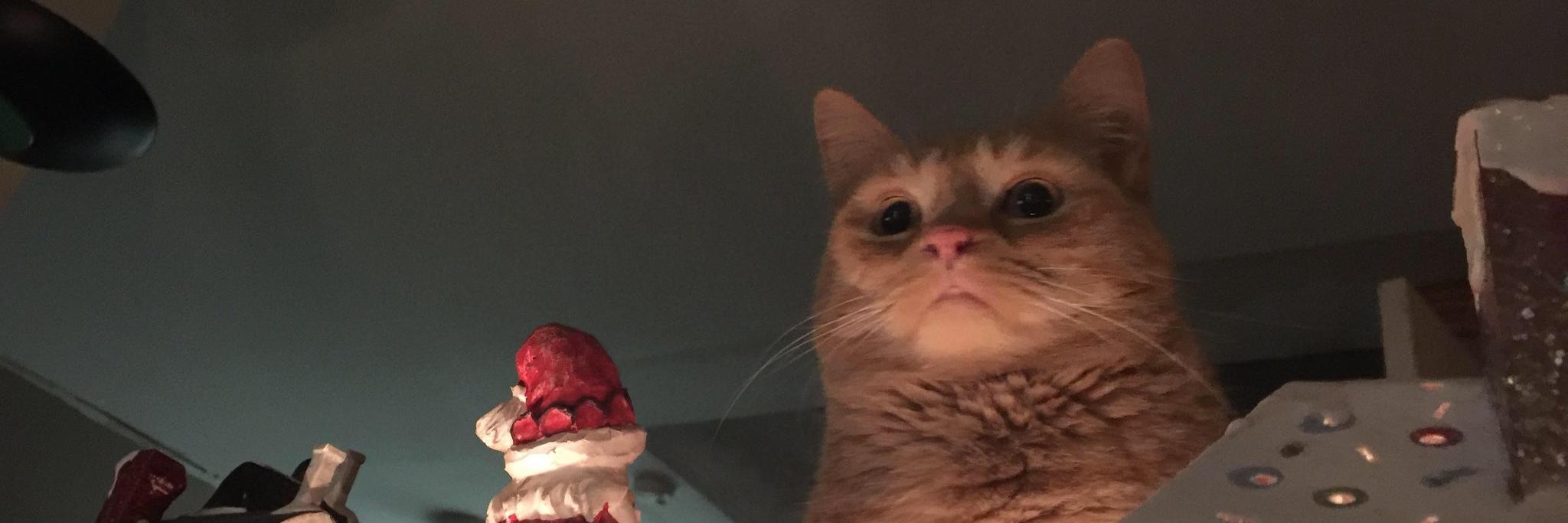 D_yto_'s profile banner image