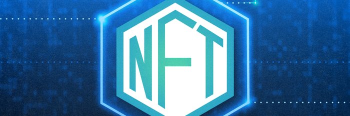Cryptokidd banner