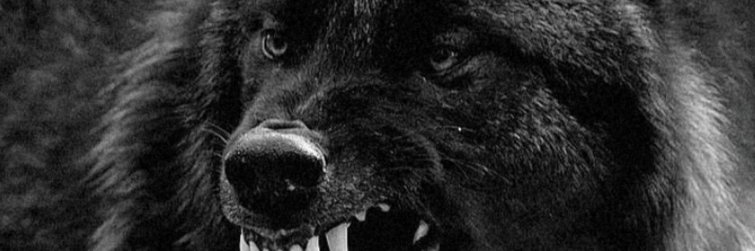 𝖍𝖔𝖕𝖊1907 banner