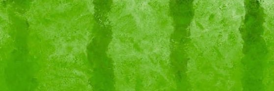 cuniii banner