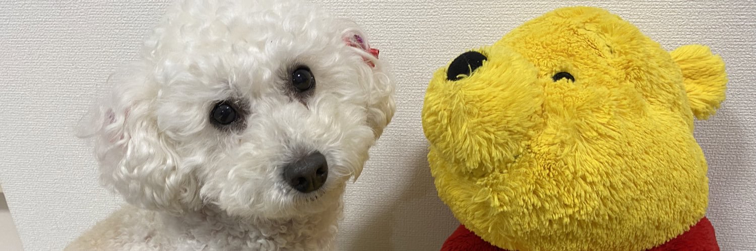 asako_0803hebi's profile banner image