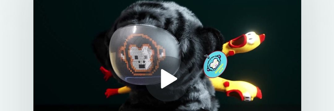 제제🐞 $GAME banner