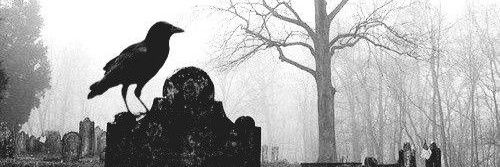 Cazimír | it/hym | shedtwt banner