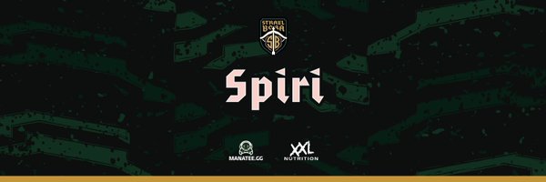 Sp1r1d0n_CS Profile Banner
