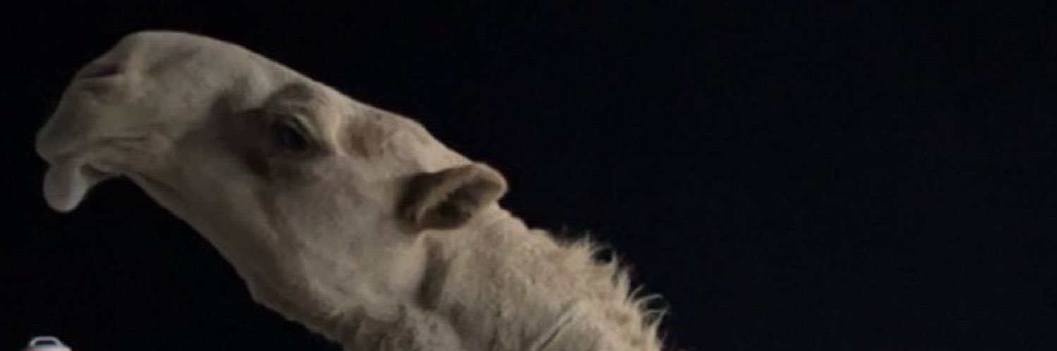 فواز العتيبي banner