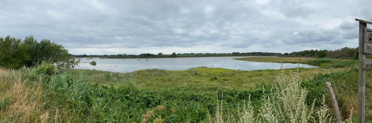 فاطمه عبدالرزاق البحر banner