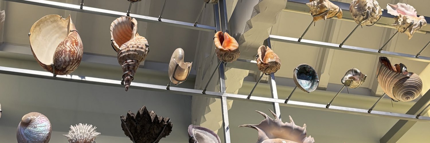 zainab🇵🇰🇵🇸🍉 banner