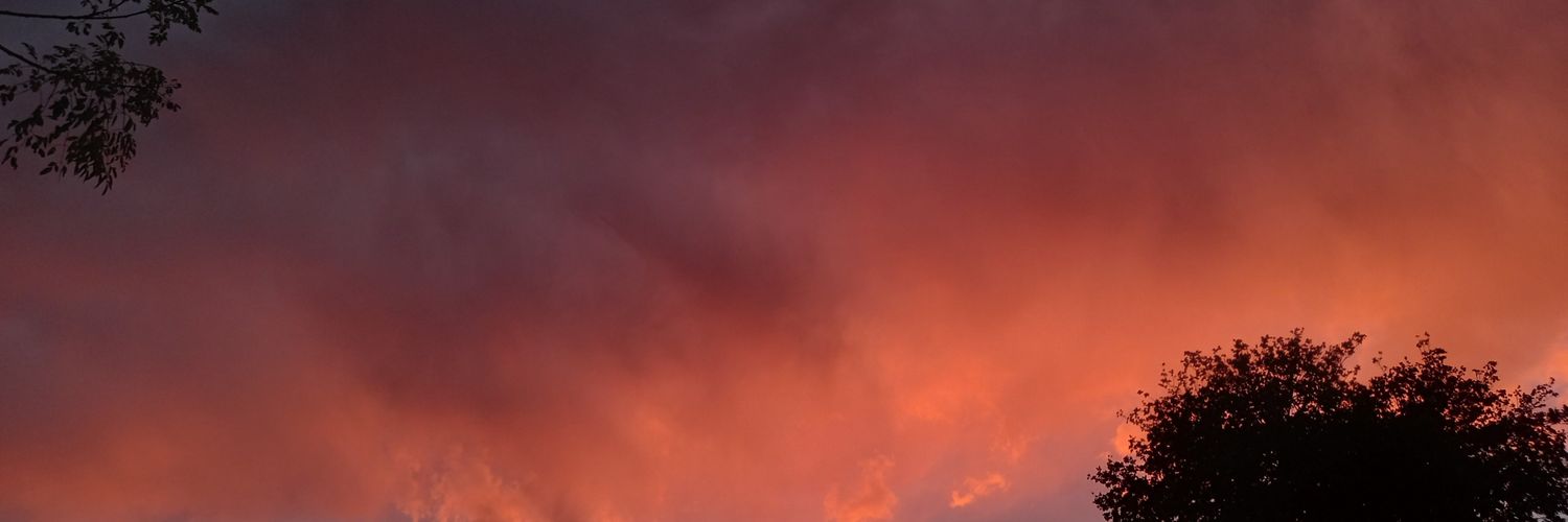 meli🤠 banner