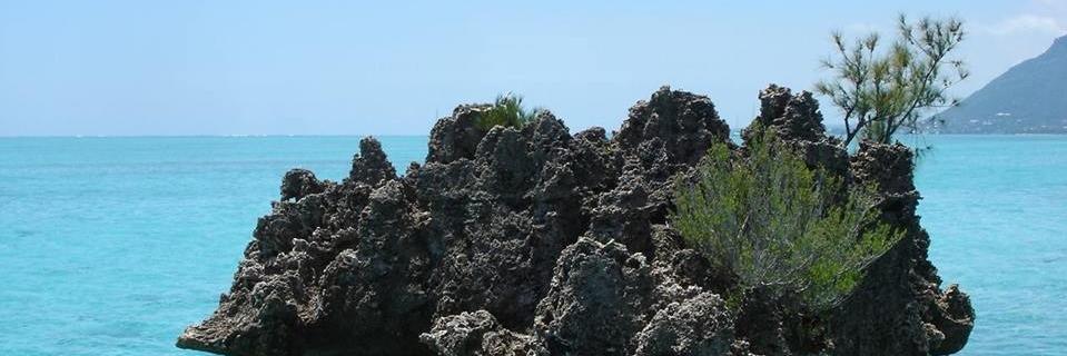 marijkedav's profile banner image