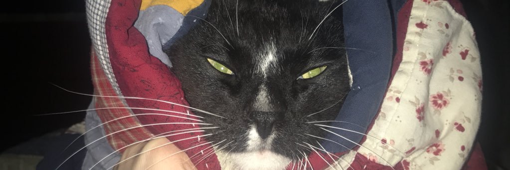 audweeb3's profile banner image