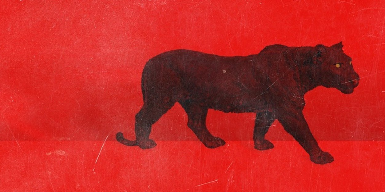 TheAppleShampoo's profile banner image