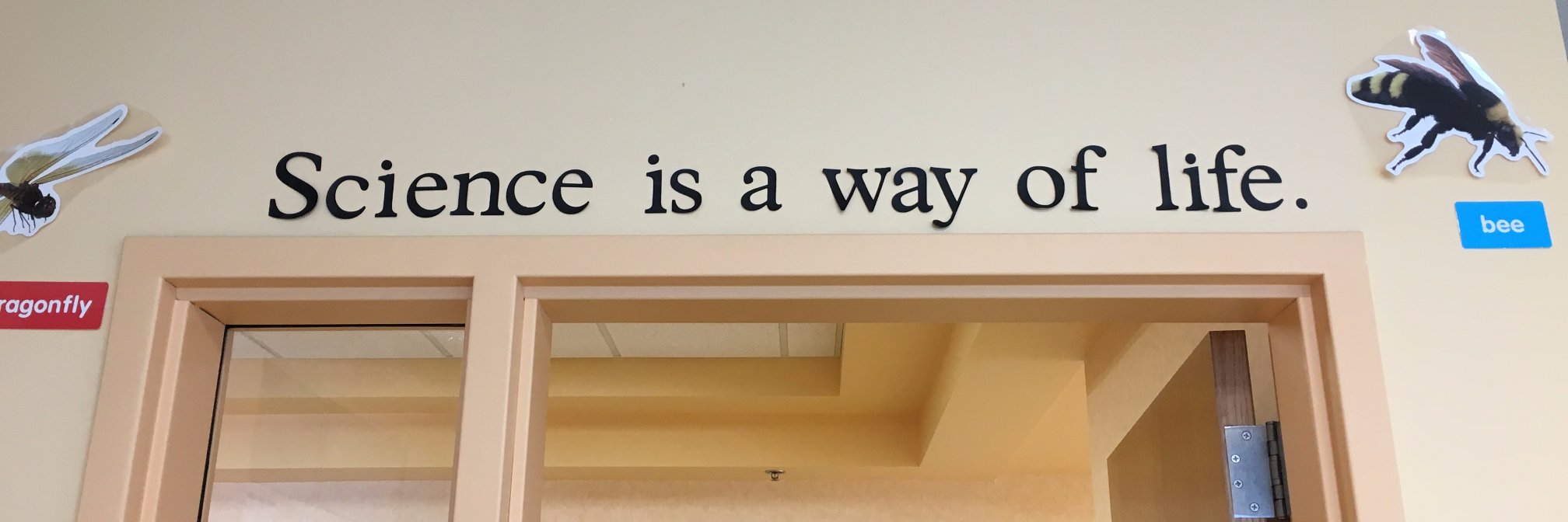 Eylem Külköylüoğlu-Çotul banner