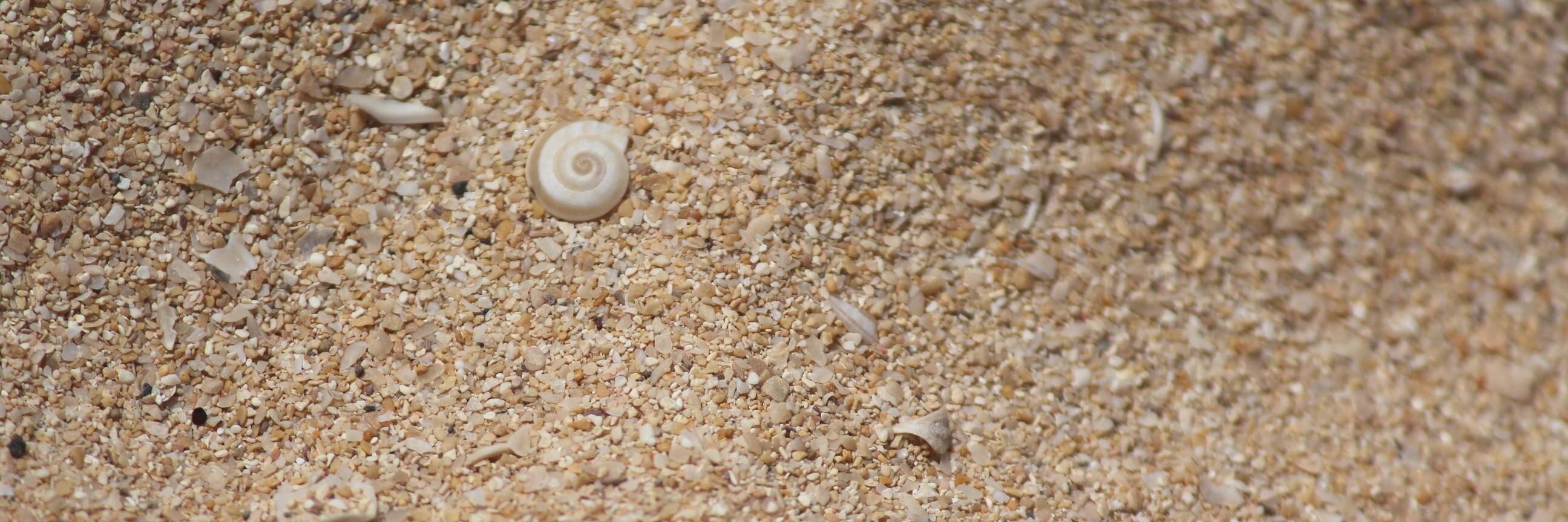 Víctor R. Ruiz banner