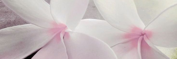 meng banner