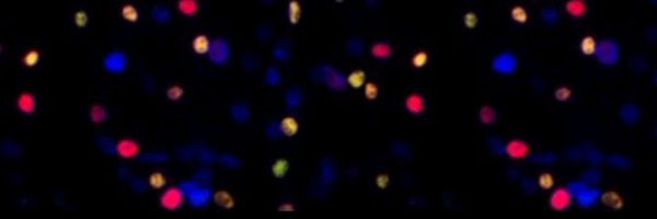 Rafalcala2 Profile Banner