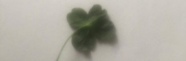 愛 banner