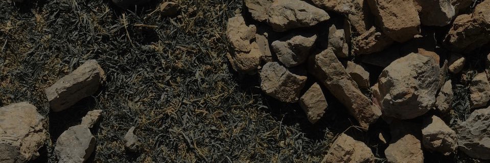C T banner