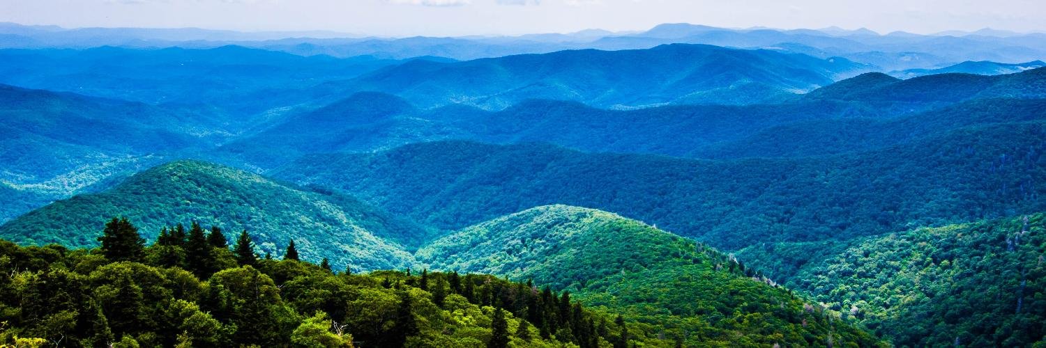 Jessie Haynes banner