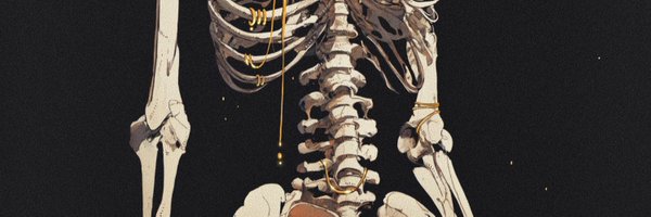 nocrwl Profile Banner