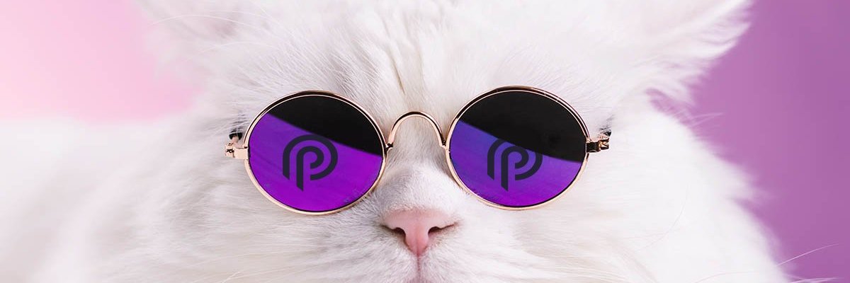 Pyth Intern 🔮's banner
