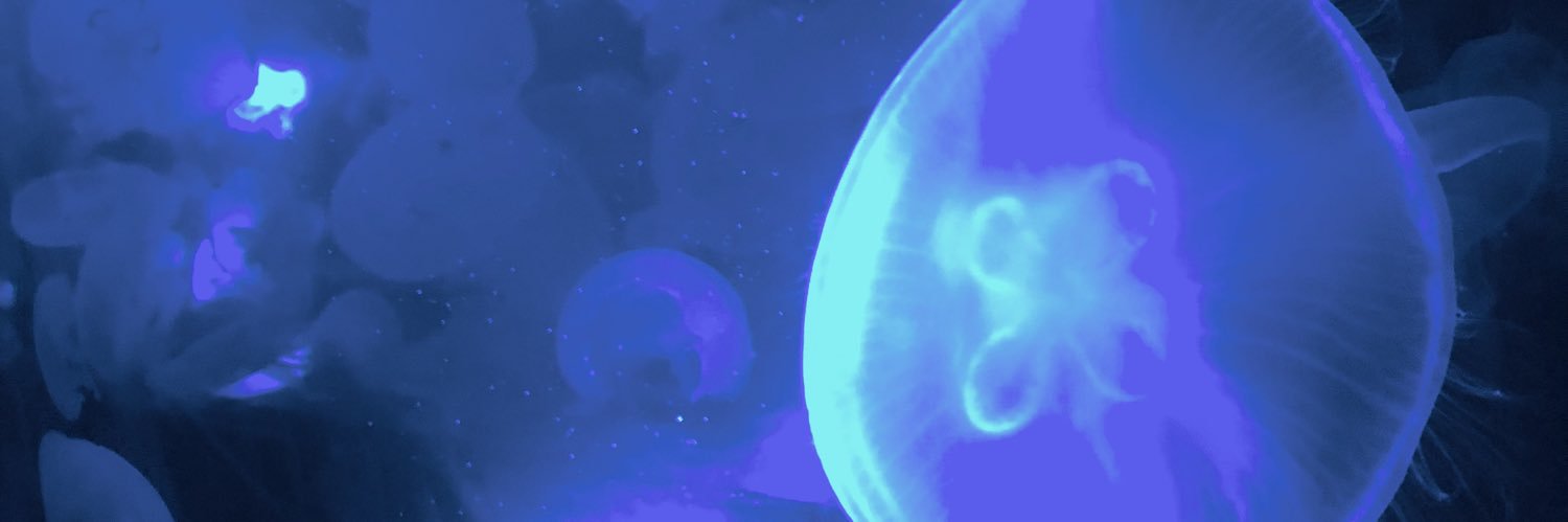 Xxsd86C's profile banner image