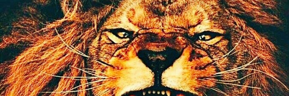 ALKlR's profile banner image
