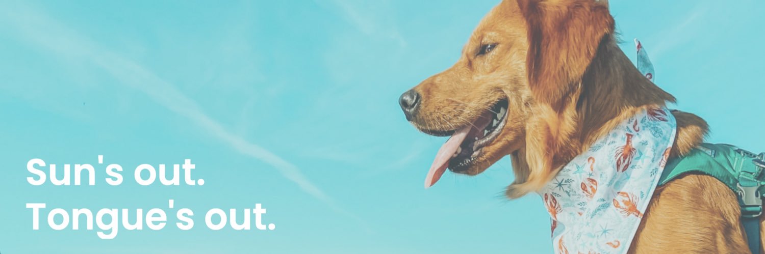 mellowpupco's profile banner image