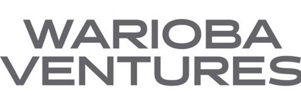 wariobaventures Profile Banner