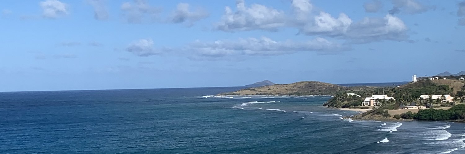 Jane banner