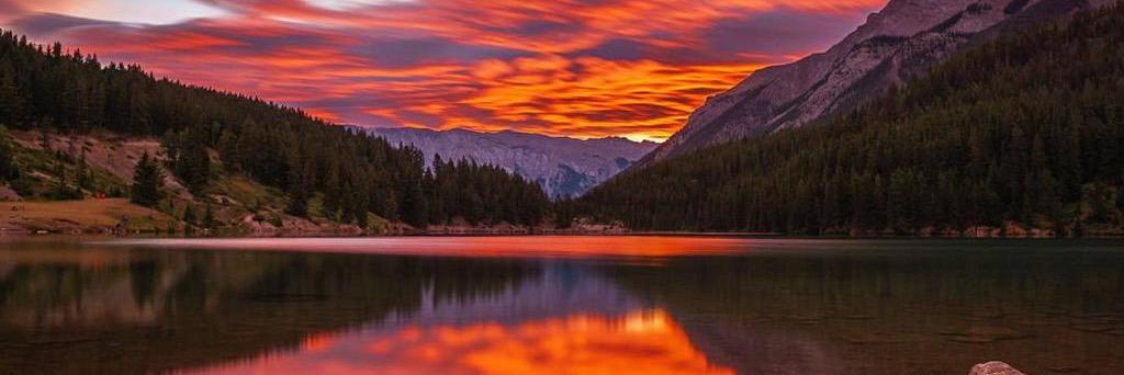 Alykhan Jetha (AJ) banner