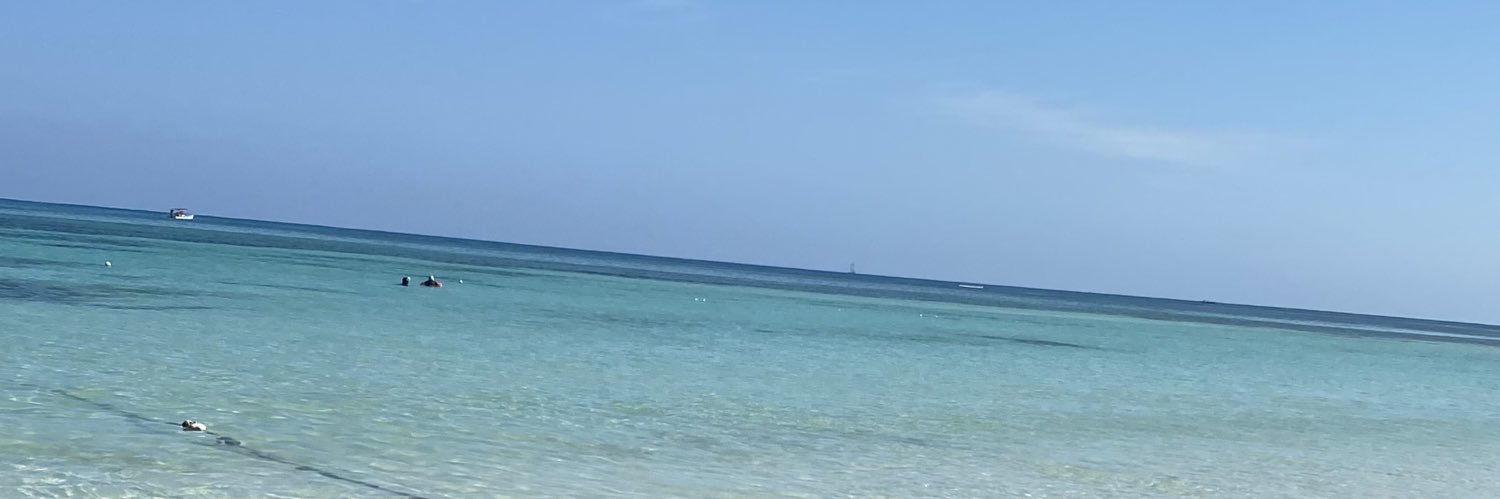 Sim banner