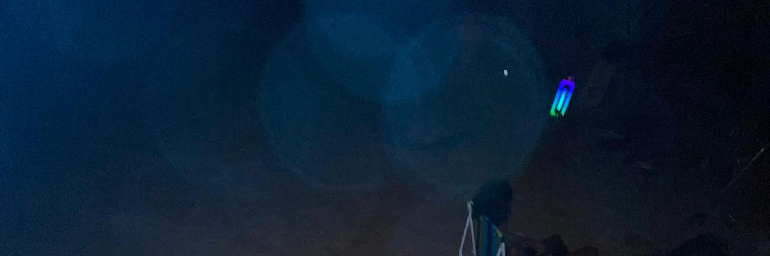 camardellinda banner