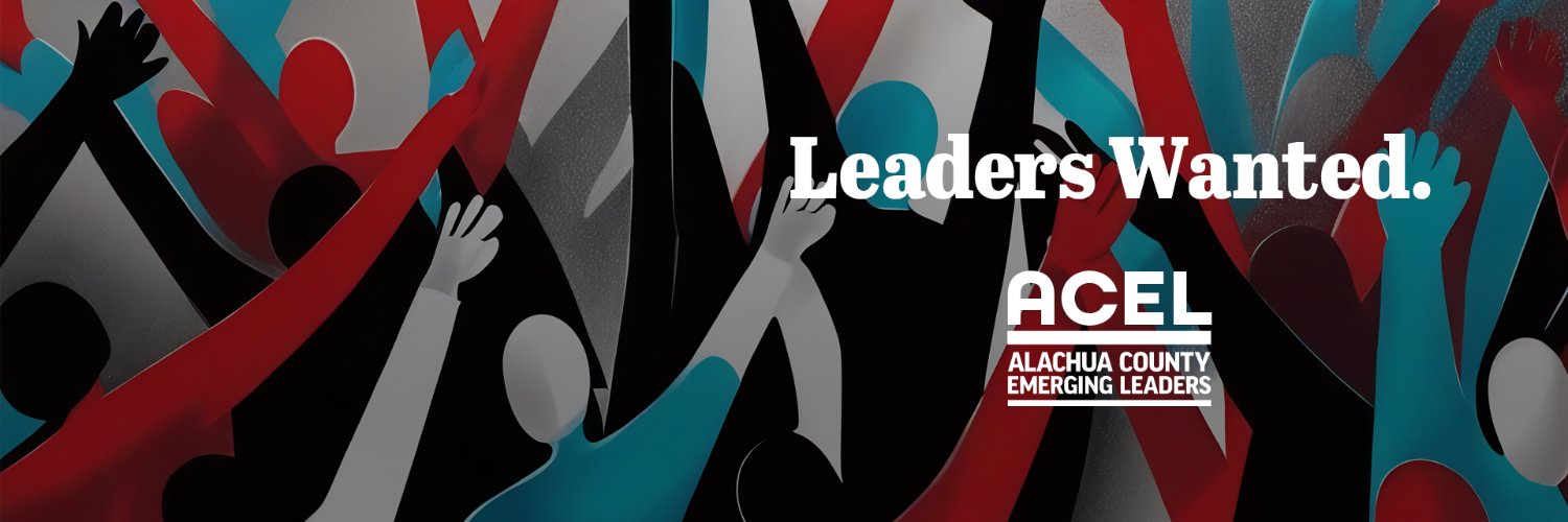 acelfl's profile banner image
