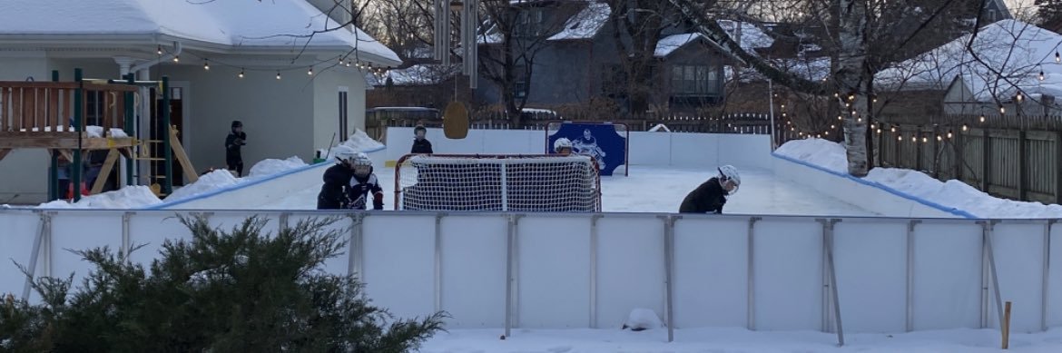 D1 Backyard Rinks banner