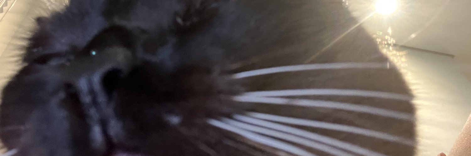 gra ☆.。a gemea da grazi banner