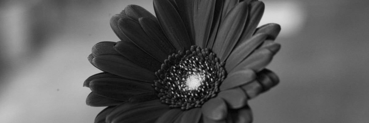 TetuJano's profile banner image