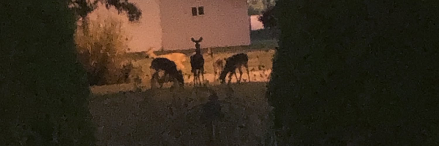 invisible man banner