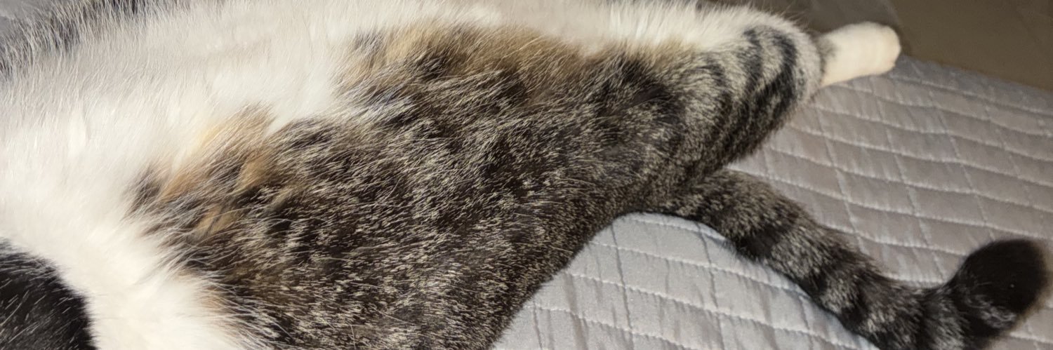 bowie_olive's profile banner image
