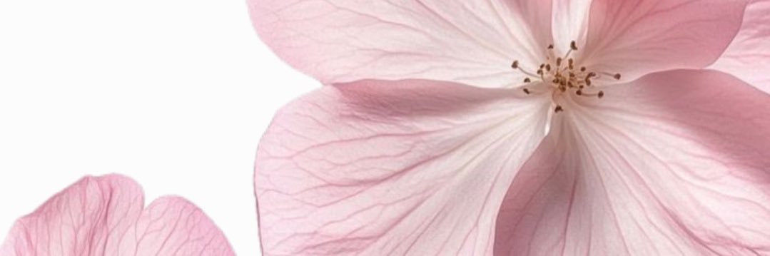 setsk_'s profile banner image